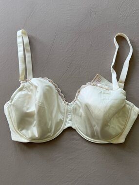 Whimsy Satin Lace Trim Lined Bra